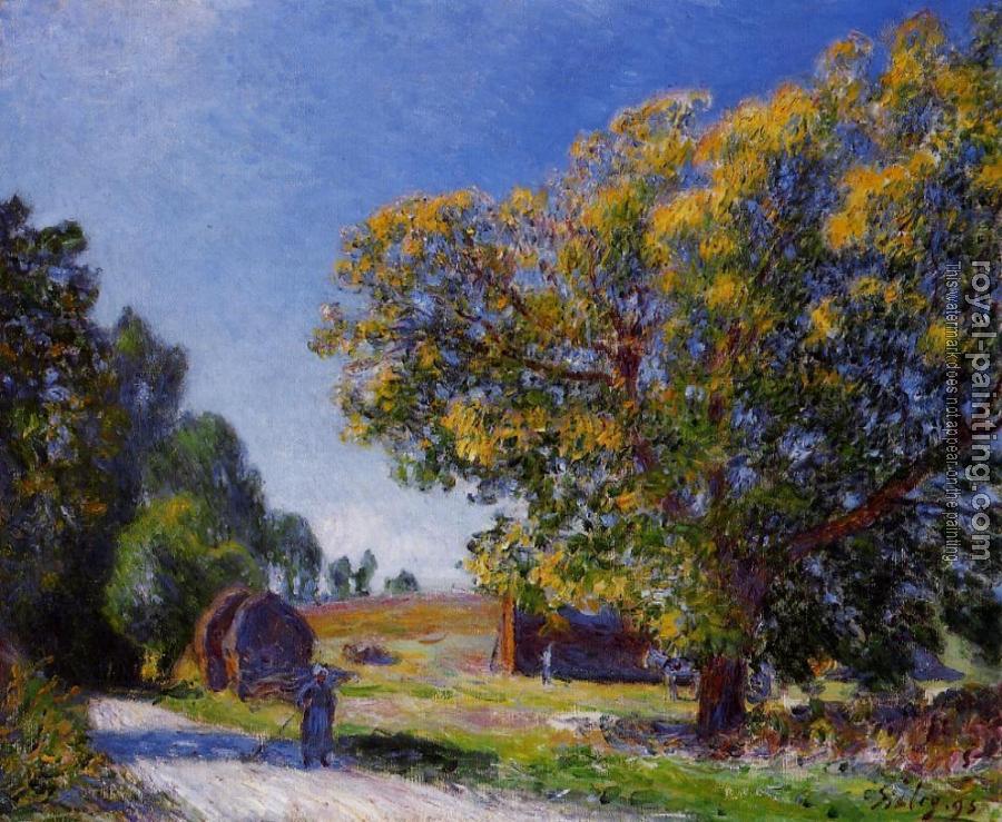 Alfred Sisley : Fields around the Forest
